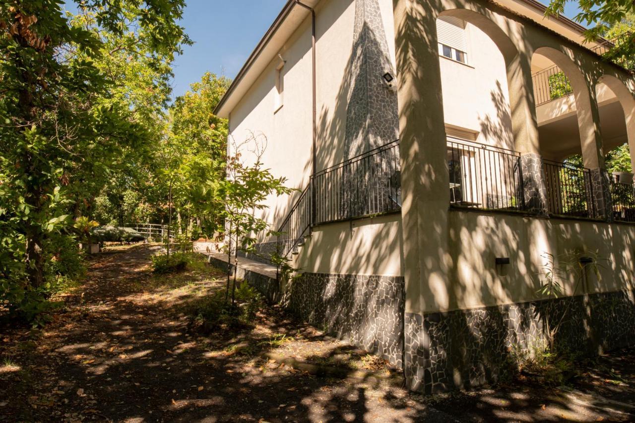 Ln Etna House-Villa Ad Uso Esclusivo Pedara Exterior photo